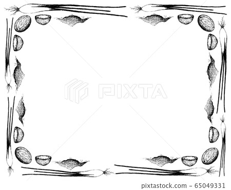 Hand Drawn of Nutmeg Fruits with Scallion Frame Hand Drawn of Nutmeg Fruits with Scallion Frame 65049331