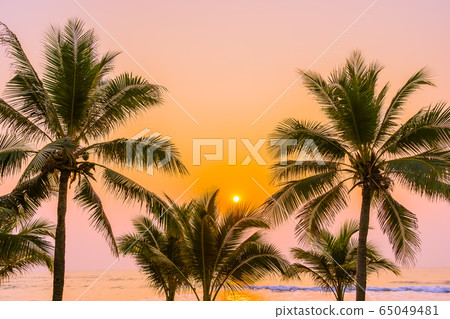 Beautiful nature with palm tree around sea ocean beach at sunset or sunrise Beautiful nature with palm tree around sea ocean beach at sunset or sunrise 65049481