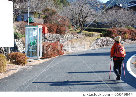 trekking  65049944