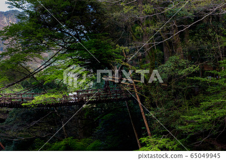 Kazura Bridge 65049945