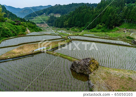愛知縣新城市四谷市的千ida田 65050103