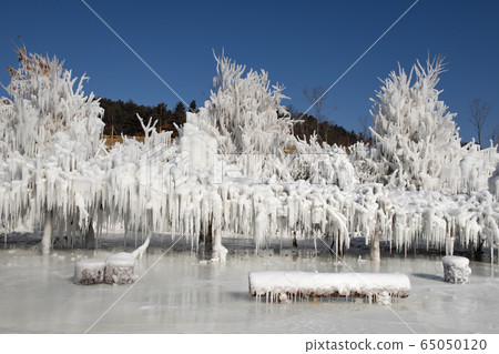 Winter, ice, festival 65050120