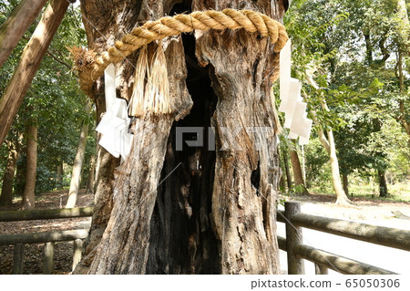[Kyoto] Shimogamo Shrine 65050306