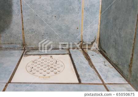 Mildew, dirty unhygienic mold growing on bathroom tile 65050675