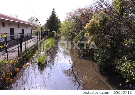 Mizumoto Park Waterway 65050718