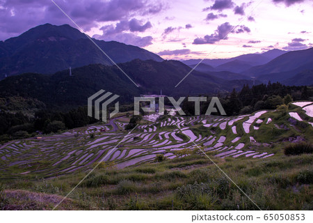 Evening View Of Maruyama Senmaida In Early Stock Photo