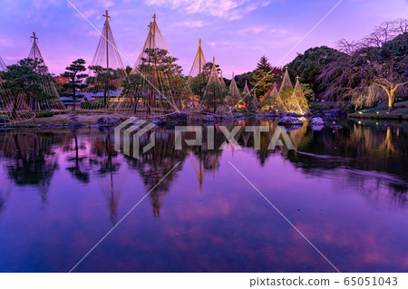 愛知縣名古屋市城鳥園雪景照明 65051043