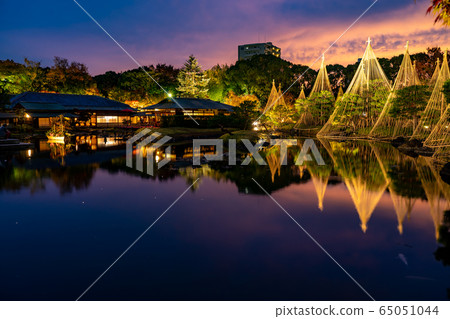 名古屋市愛知縣城鳥花園,白雪皚皚的夜景,照亮的秋葉 名古屋市愛知縣城鳥花園,白雪皚皚的夜景,照亮的秋葉 65051044