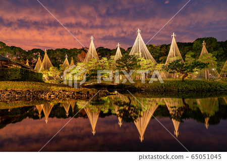 名古屋市愛知縣城鳥花園,白雪皚皚的夜景,照亮的秋葉 名古屋市愛知縣城鳥花園,白雪皚皚的夜景,照亮的秋葉 65051045