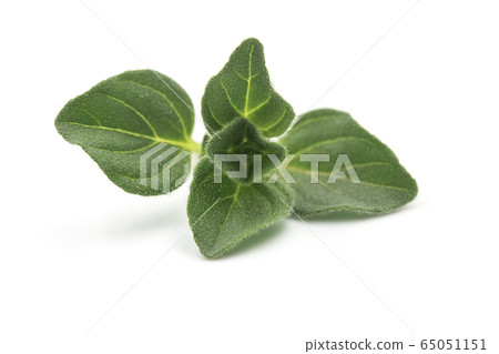 Raw organic oregano leaf or marjoram on white 65051151