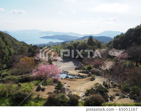 O大島春季帶形觀音 O大島春季帶形觀音 65051167