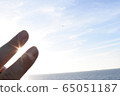 light  65051187