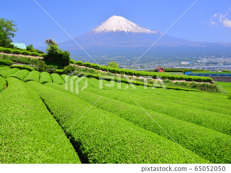 岩本山的春天風景333021 岩本山的春天風景333021 65052050
