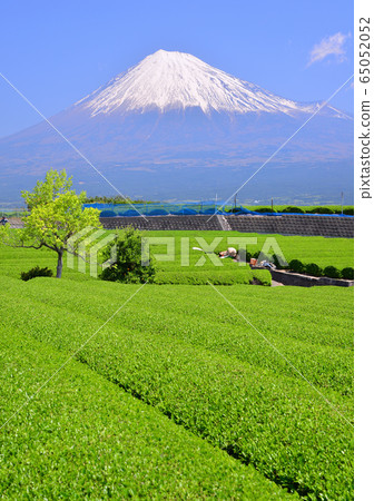 岩本山的春天風景-333028 岩本山的春天風景-333028 65052052