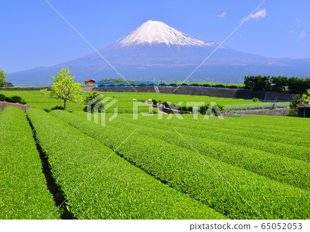 岩本山的春天風景-333030 岩本山的春天風景-333030 65052053