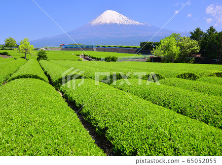 Spring scenery from Mt. Iwamoto-333033 65052055
