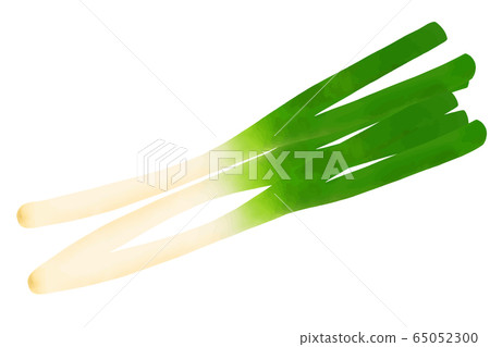 Green onion Green onion 65052300