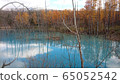 Blue pond 65052542