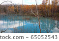 Blue pond 65052543