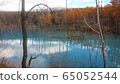 Blue pond 65052544