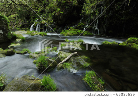 Motoyuki underwater water Motoyuki underwater water 65053659