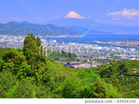 Nihondaira-88012的春天風景 65054350