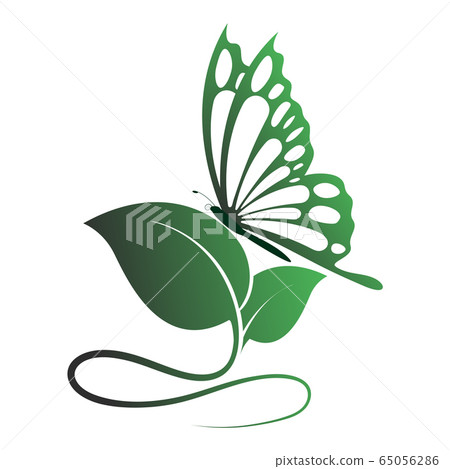 butterfly with leaves 65056286