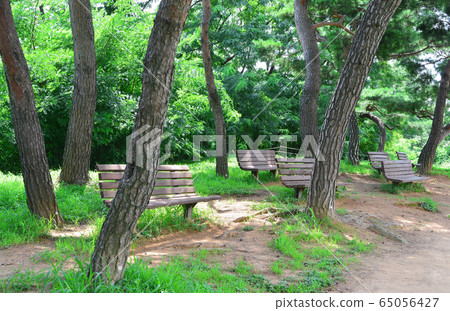 Banch, Rest, Pine Banch, Rest, Pine 65056427
