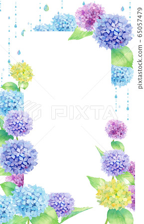 Watercolor illustration of hydrangea and rain, vertical decorative frame Watercolor illustration of hydrangea and rain, vertical decorative frame 65057479