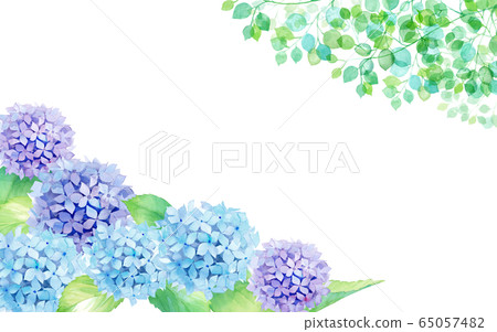 Decorative frame of hydrangea and fresh green watercolor illustration Decorative frame of hydrangea and fresh green watercolor illustration 65057482