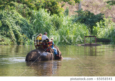 Lampang Thailand  April 15, 2016 : Thailand Elephant Conservation Centre  -  Activities Elephant Bath   Elephant Bath  Naturally, like an elephant bath for cooling   65058543