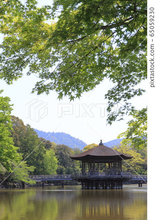 Nara Ukimido Nara Ukimido 65059230