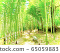 竹林和竹筍 65059883