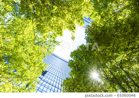 看摩天大樓的辦公室鎮的風景 65060046