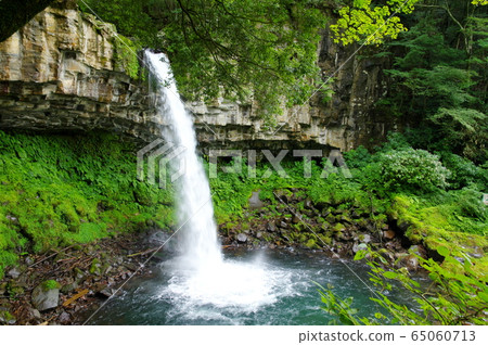 Manjo Falls (Izu City) 65060713