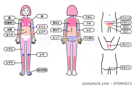 Female hair loss body 65060823