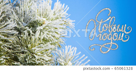Christmas, New Year, holiday 65061328
