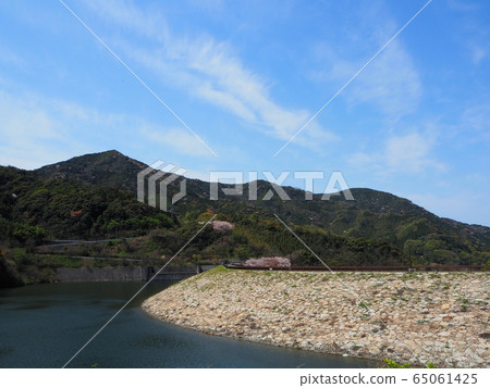 Suo Oshima Spring Yashiro Dam Suo Oshima Spring Yashiro Dam 65061425