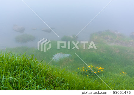 fog on the lake. grassy shore with rocks. overcast 65061476