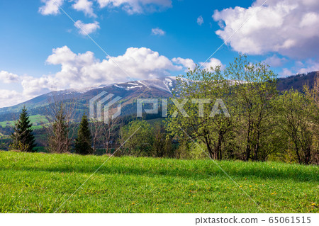 great outdoors on a sunny springtime day. great outdoors on a sunny springtime day. 65061515