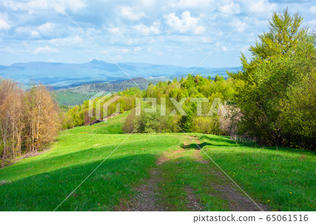 beautiful nature mountain scenery. path through beautiful nature mountain scenery. path through 65061516