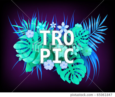 Summer Tropic trendy neon tropical leaves exotical plants palm jungle leaf. Trending colors on dark background template banner. Vector illustration isolated Summer Tropic trendy neon tropical leaves exotical plants palm jungle leaf. Trending colors on dark background template banner. Vector illustration isolated 65061847