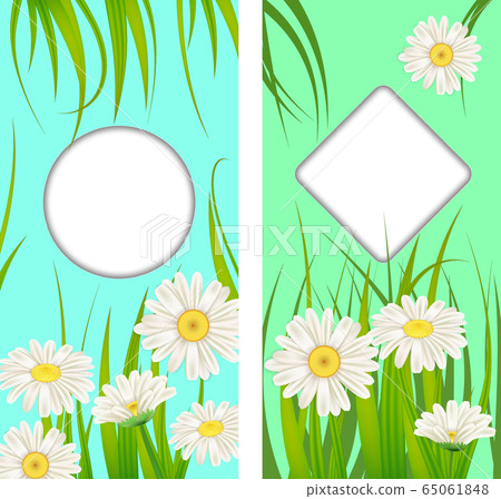 Set spring cards of floral flowers dandelions and daisies, chamomiles, grass backgrounds. Colorful spring vertical banners social media stories wallpapers. Vector illustration isolated Set spring cards of floral flowers dandelions and daisies, chamomiles, grass backgrounds. Colorful spring vertical banners social media stories wallpapers. Vector illustration isolated 65061848