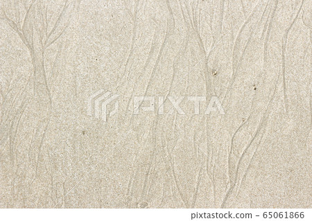 Pattern texture of sand on the beach 65061866