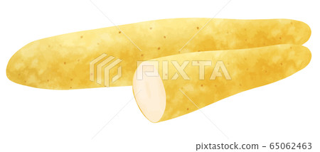Yam - Stock Illustration [65062463] - PIXTA