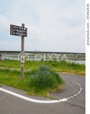 Tonegawa Bicycle Path (Tamamura Town) near Goryohashi 65062636