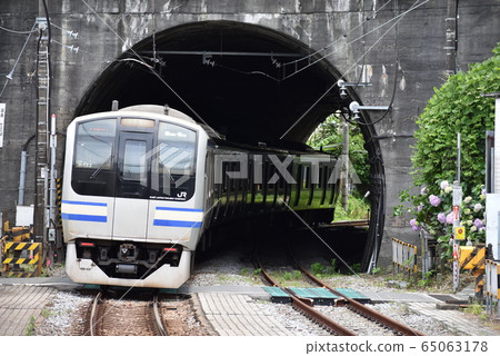E217系列火車(橫須賀線,總武快速線等) E217系列火車(橫須賀線,總武快速線等) 65063178