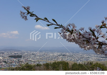 米澤市大成山公園的全景 米澤市大成山公園的全景 65063199