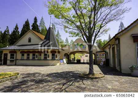 岡山森林公園岡山縣赤坂市德國森林 65063842