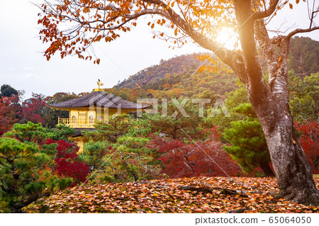 The Golden Pavilion. Kinkakuji Temple in Kyoto, Japan. The Golden Pavilion. Kinkakuji Temple in Kyoto, Japan. 65064050